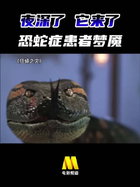 安心睡觉,祝你好梦... 电影《狂蟒之灾》,今日22:25播出