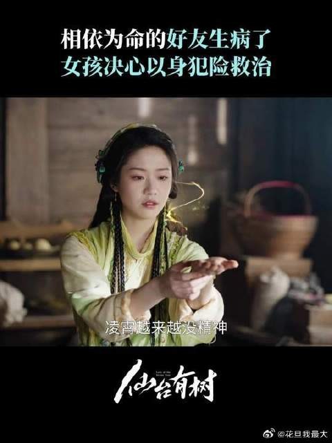 这可是薛冉冉与生俱来的家人，她怎么可能放弃