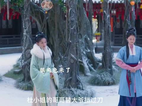 狠角色来了,兰香借满天烟火祭父亲母亲沈家所有人
