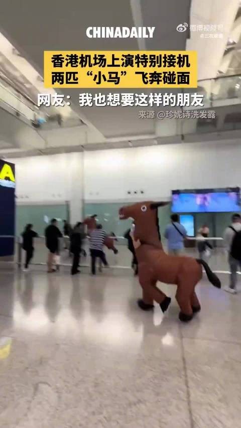 香港机场上演特别接机,两匹“小马”飞奔碰面,网友:我也想要这样的朋友