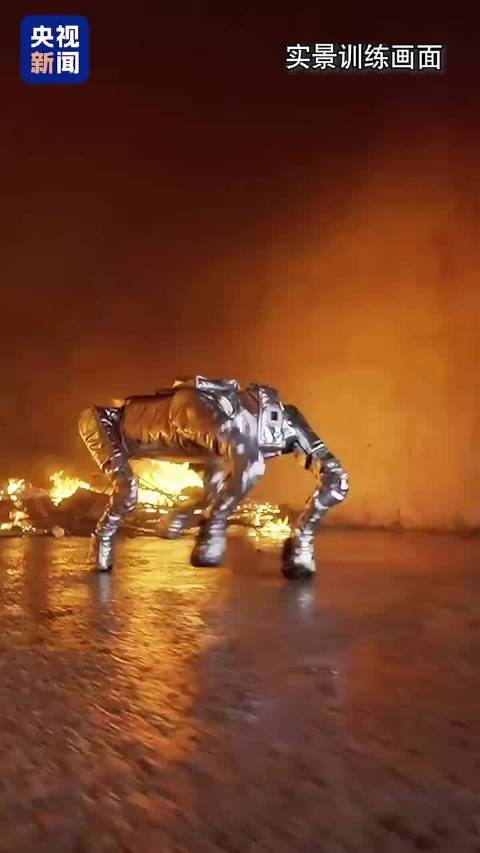 实战画面!机器狼冲进500摄氏度高温火场