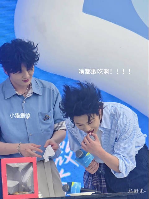 小狗你不可以吃玻璃珠!