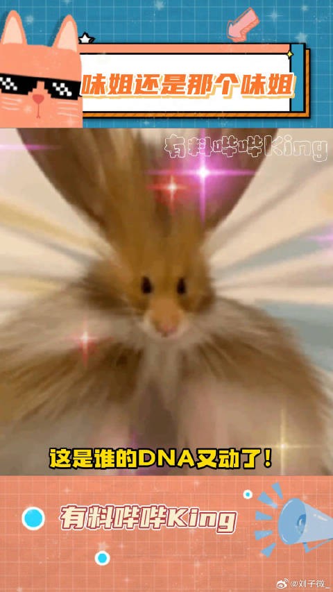 哪怕过了20年,吃到美食的反应依旧能把观众馋到疯狂流口水!微博VC计划