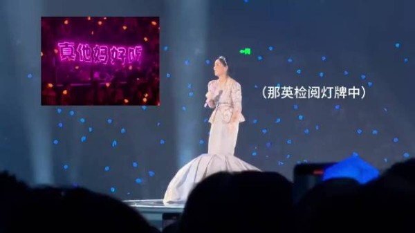 那英自己：妈的，最烦装逼的人 那英对歌迷：你们文明一点好吗？