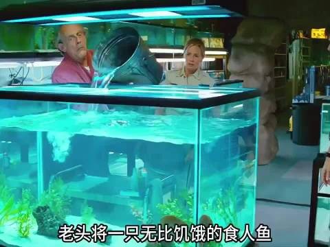 水上乐园闯入大量的食人鱼,他们能否化解这场危机