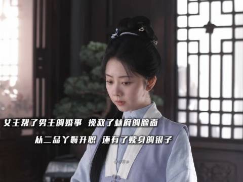 女主助男主缔结良缘，由从二品丫鬟跃升为手握银钱的体面人！…