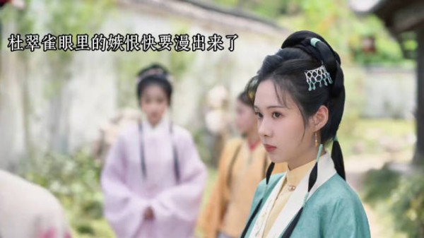 替林锦岐挡刀系杜氏兄妹圈套，杜翠雀嫉妒嫁侯府