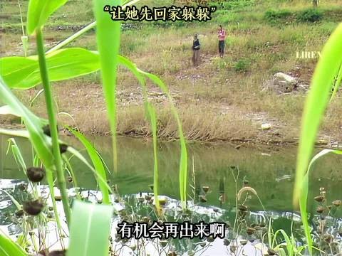 好剧推荐，《女人不是月亮》