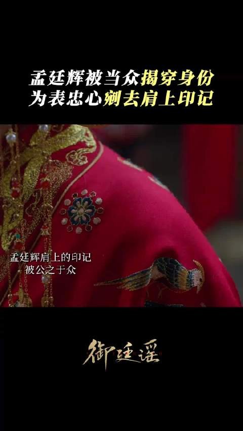 孟廷辉剜印自证,世间再无中宛公主!