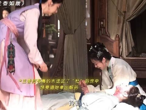 许兰香查案揪出真凶,杜某决绝设局陷害