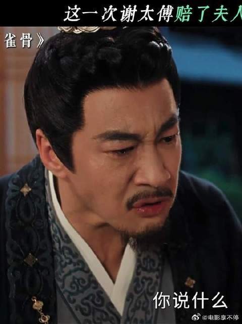 这一次谢太傅赔了夫人又折兵!