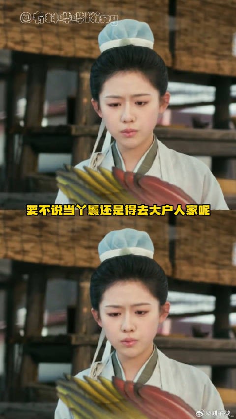 只要不在长信王府 我服从调剂张凌赫李卿微博VC计划