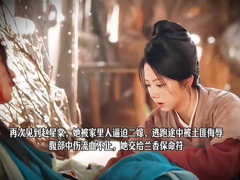 兰香脱奴籍有了登对的未婚夫,却被林锦岐强取豪夺