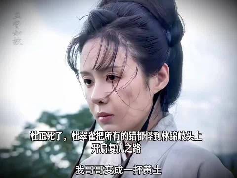 杜正死了,杜翠雀把所有的错都怪到林锦岐头上,开启复仇之路 ,兰香如故