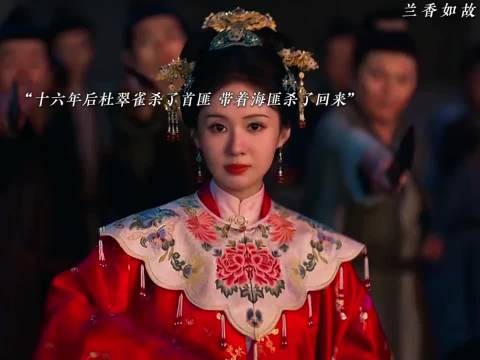“十六年后杜翠雀杀了首匪,带着海匪杀了回来”
