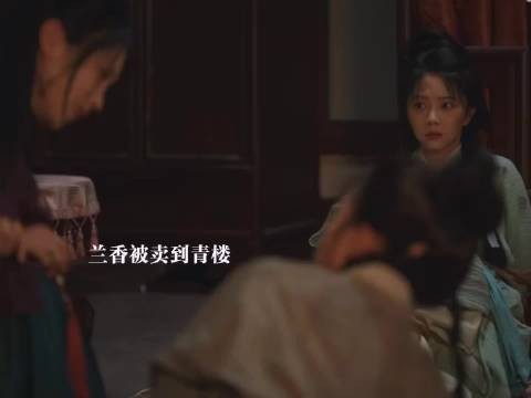 兰香被卖到青楼,林绣茹跟袁绍辉大婚,有人要对袁家出手