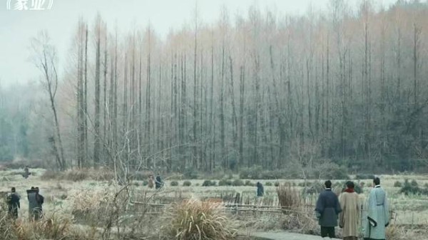 杨紫弃《兰香如故》选《家业》,看重角色能立住