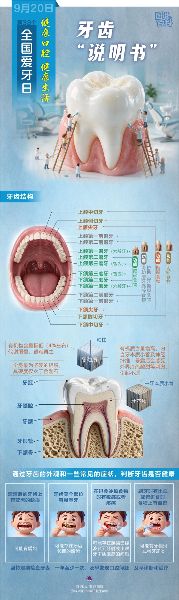 全国爱牙日
