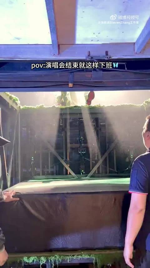 张新成演唱会神级退场，台下视角蝴蝶光影绝美