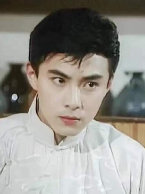 张卫健与陈浩民:颜值与演技的巅峰对决,谁才是真正的经典之光?