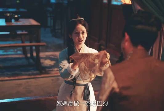 权谋女主有!为复姐仇,忍辱负重,步步为营,欺我辱我绝不罢休!