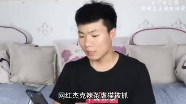 网红杰克辣条虐猫被抓,阜阳好人称号被取消