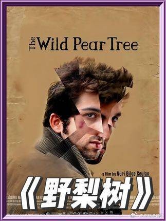 理想的价值从来不由是否抵达终点定义,逐梦路上的每一步闪光,早就是专属馈赠