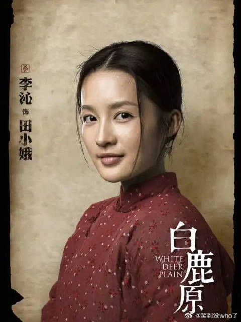 黑娃不仅找到个活干,也邂逅了他的第一个女人,田小娥