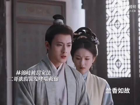 兰香如故林家兄妹装病救大哥，三姑娘归来震慑全场