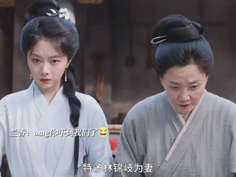 笑不活了，除了林锦岐和皇帝0人开心，老太爷都气哭了