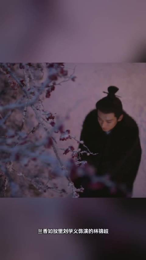 《兰香如故》刘学义:拿着“地板砖”人设,靠细腻演技逆风翻盘