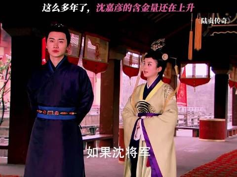 沈嘉彦这段承诺，放到现在也很超前 陆贞传奇 赵丽颖 陈晓