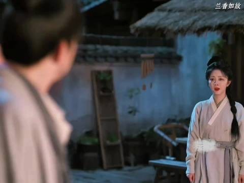陆先生早就察觉兰香不一般,这番对话明白她就是沈嘉兰 谭松韵