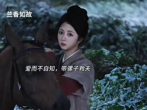 爱而不自知,带骡子救夫 ,兰香如故