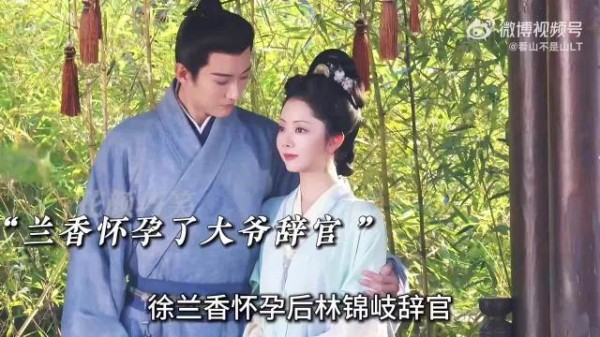 许兰香怀孕后林锦岐辞官!