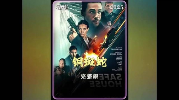 2025动作犯罪片,特工困死安全屋 近身格斗无尿点