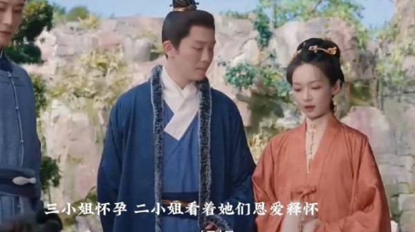 二小姐释怀林锦岐带她去京城涨见识让母亲放下吧，三小姐怀有身孕了！