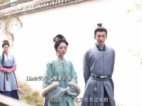 兰香如故：林锦岐的脸皮越来越厚，除了他自己别人都不开心