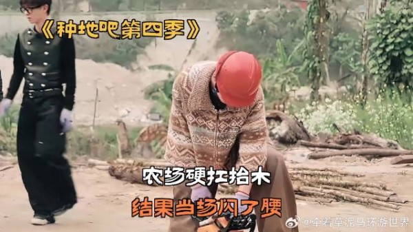 农场硬扛抬木,结果当场闪了腰
