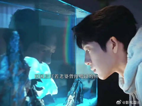 栾念,你老婆不要你了
