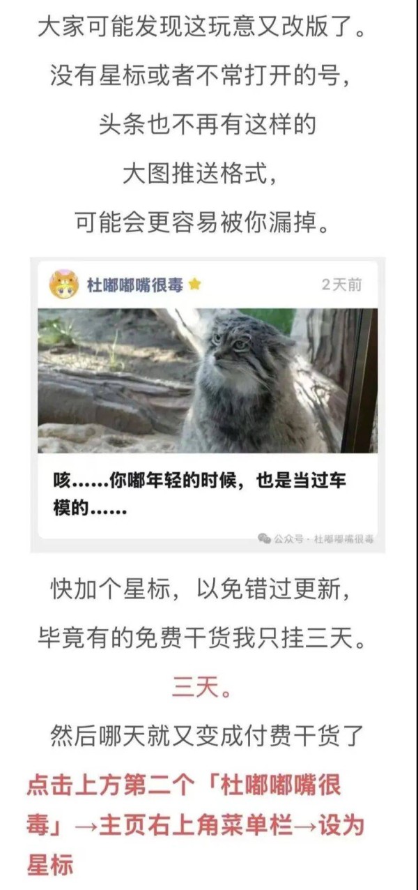 很多人想要的爱情,只是自己想被爱罢了。