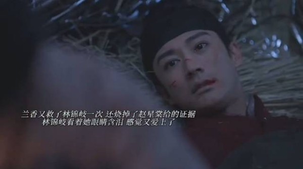 林锦岐看着兰香烧掉他放走废太子的证据,眼睛含泪又爱上了