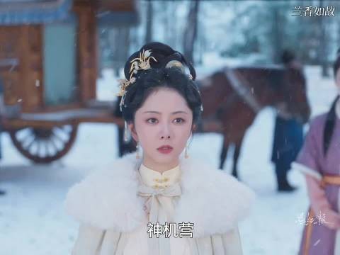 兰香看见浓烟知道神机营谋反 孤身一人找到林锦岐 ，兰香如故
