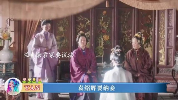 袁绍辉纳妾,兰香去袁府帮林绣茹谈判