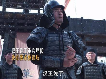 重兵设伏,目标直指林锦岐性命?