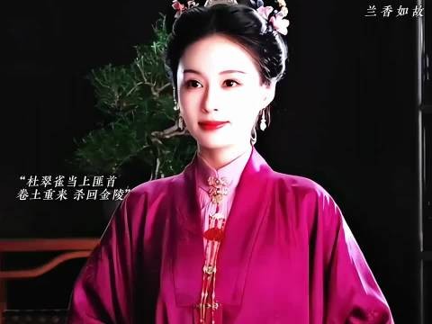 最终杜翠雀带着海匪卷土重来重四金陵…