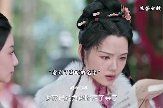 二妹妹阴差阳错看到了谢昭的和离书，很喜欢他的文笔，这或许是命中注定吧