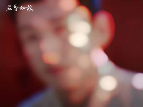 林锦岐离世兰香独自抚育孩子终老!…
