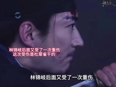 杜翠雀下手加害，林锦岐又一次身负重伤，身子本就亏虚，这下状况越发糟糕