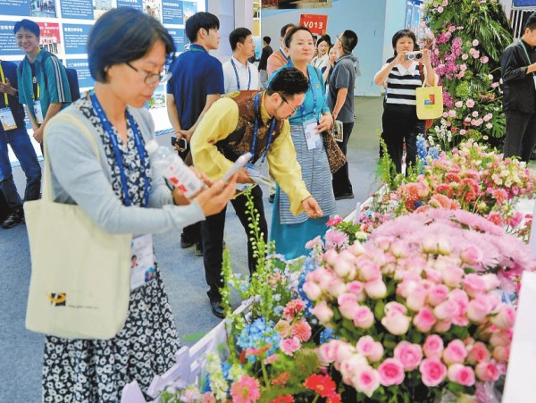 “我从来没去过云南,但今天比看多少视频都真切”
